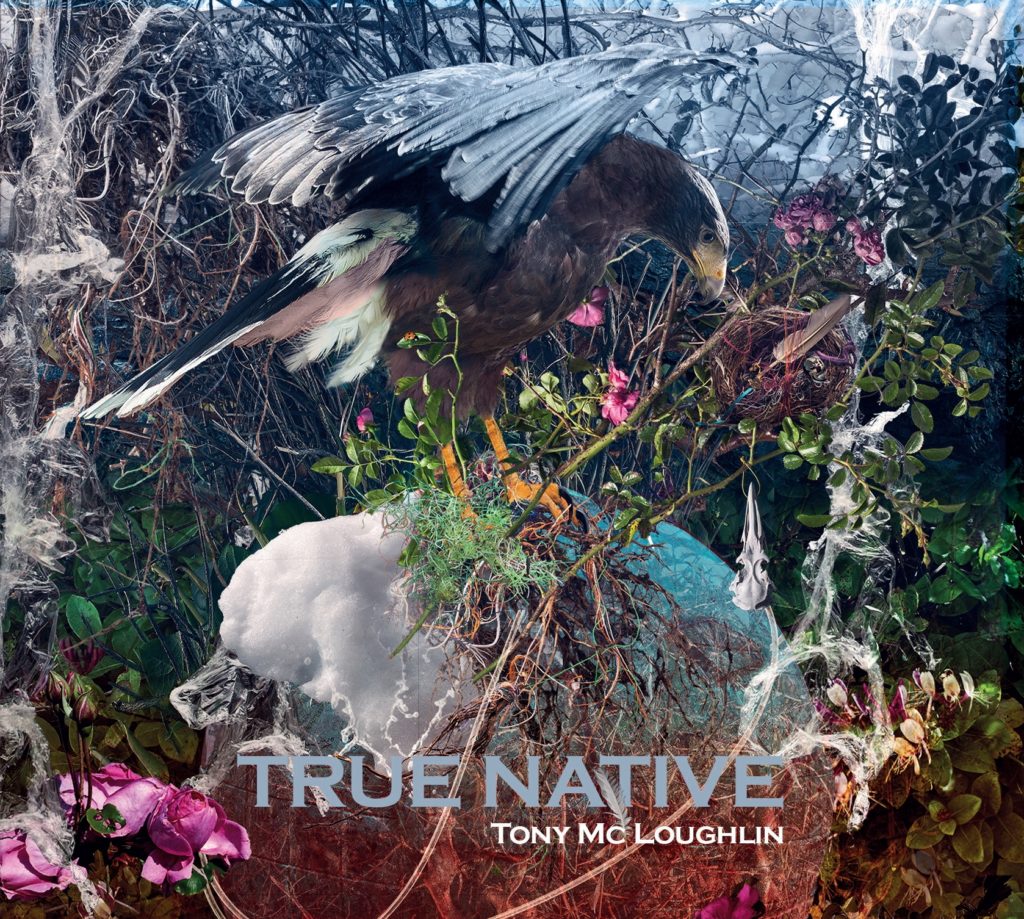 Album cover of True Native by Tony McLoughlin